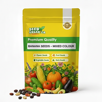 Banana Seeds – Mixed Colour