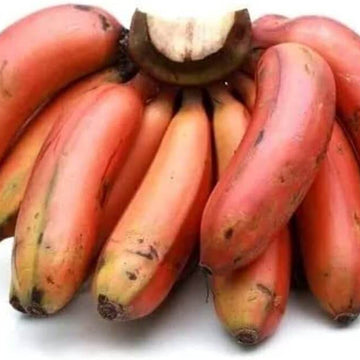 Banana Seeds – Orange