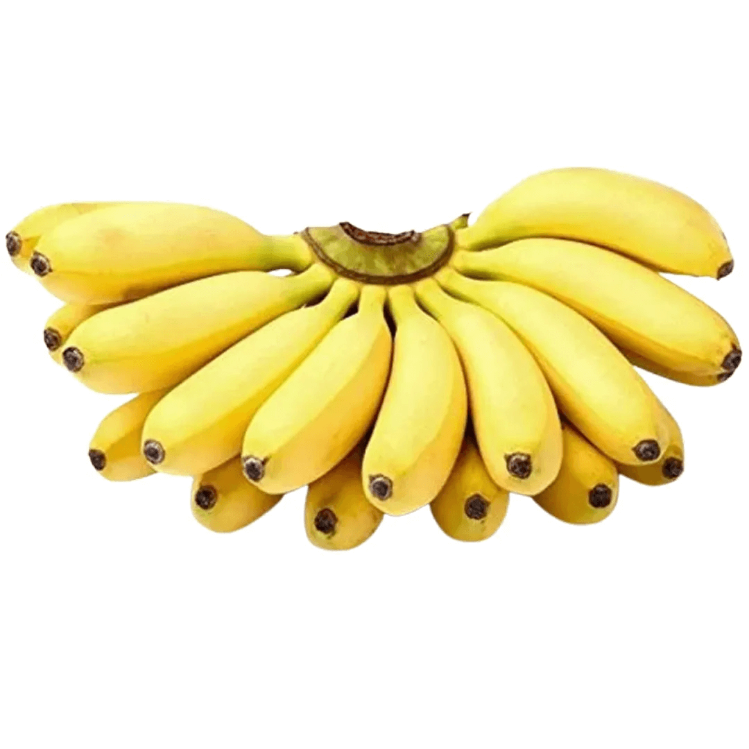 Banana Seeds – Pacovan