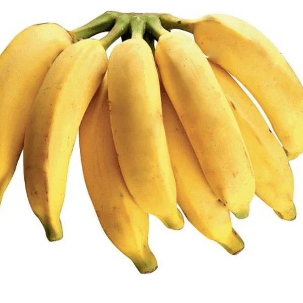 Banana Seeds – Pacovan