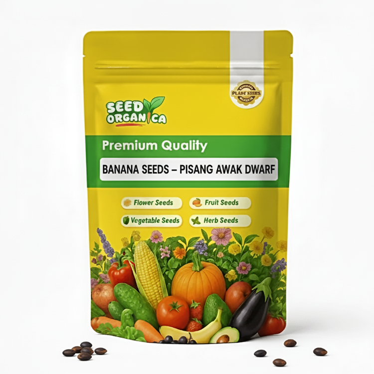 Banana Seeds – Pisang Awak Dwarf