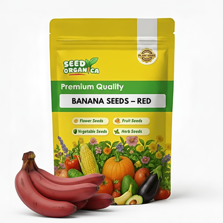 Banana Seeds – Red