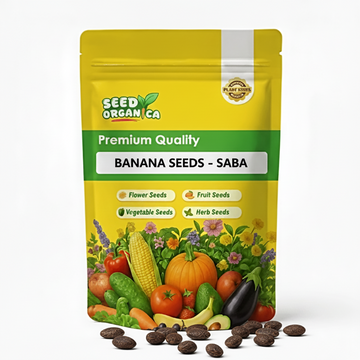 Banana Seeds – Saba