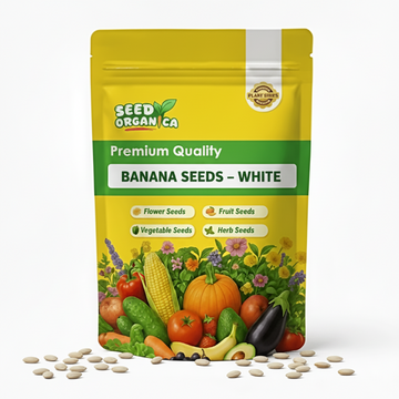 Banana Seeds – White