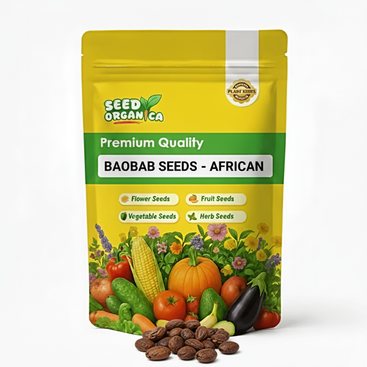 Baobab Seeds - African