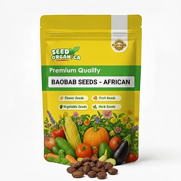 Baobab Seeds - African