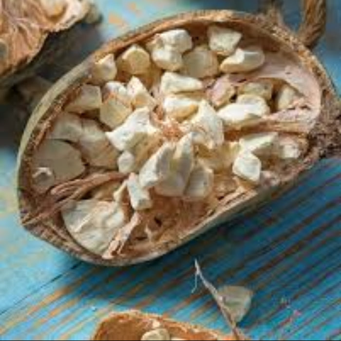 Baobab Seeds - African