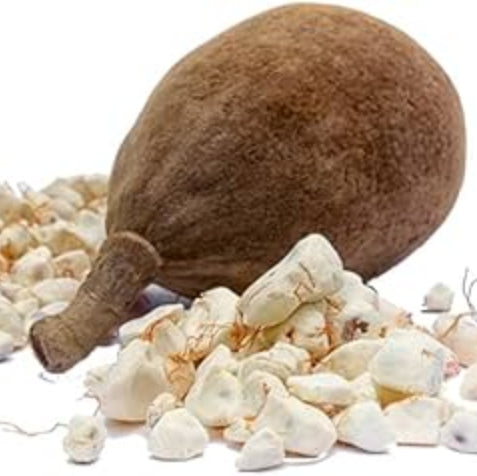 Baobab Seeds - African