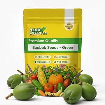 Baobab Seeds - Green