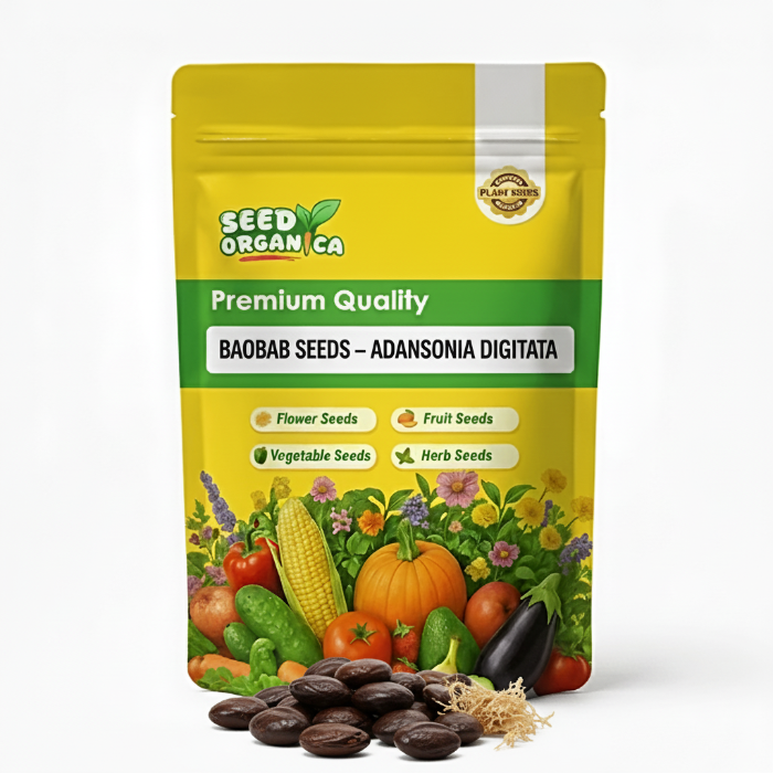 Baobab Seeds – Adansonia Digitata