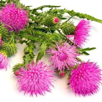 Bardana Seeds – Wildflower Mix
