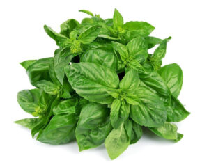 Basil Seeds – Dwarf Greek
