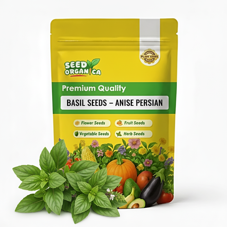 Basil Seeds – Anise Persian