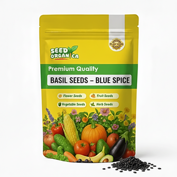 Basil Seeds – Blue Spice