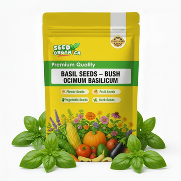Basil Seeds – Bush Ocimum Basilicum