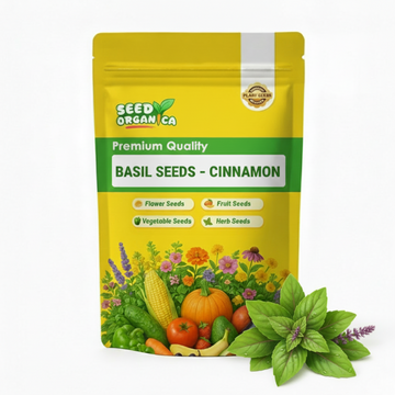 Basil Seeds – Cinnamon