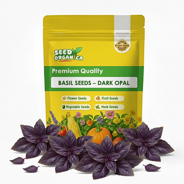 Basil Seeds – Dark Opal