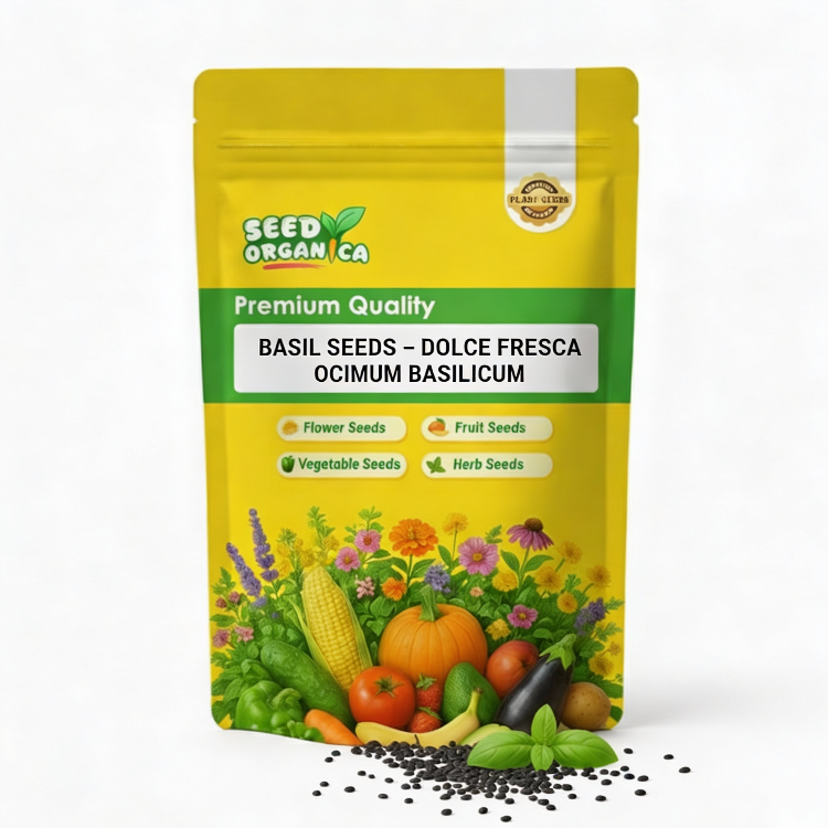 Basil Seeds – Dolce Fresca Ocimum Basilicum