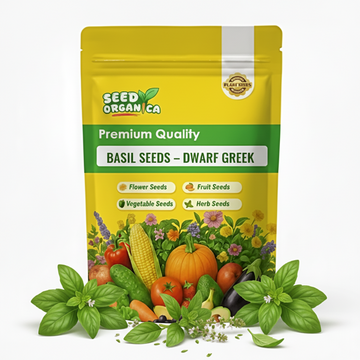 Basil Seeds – Dwarf Greek