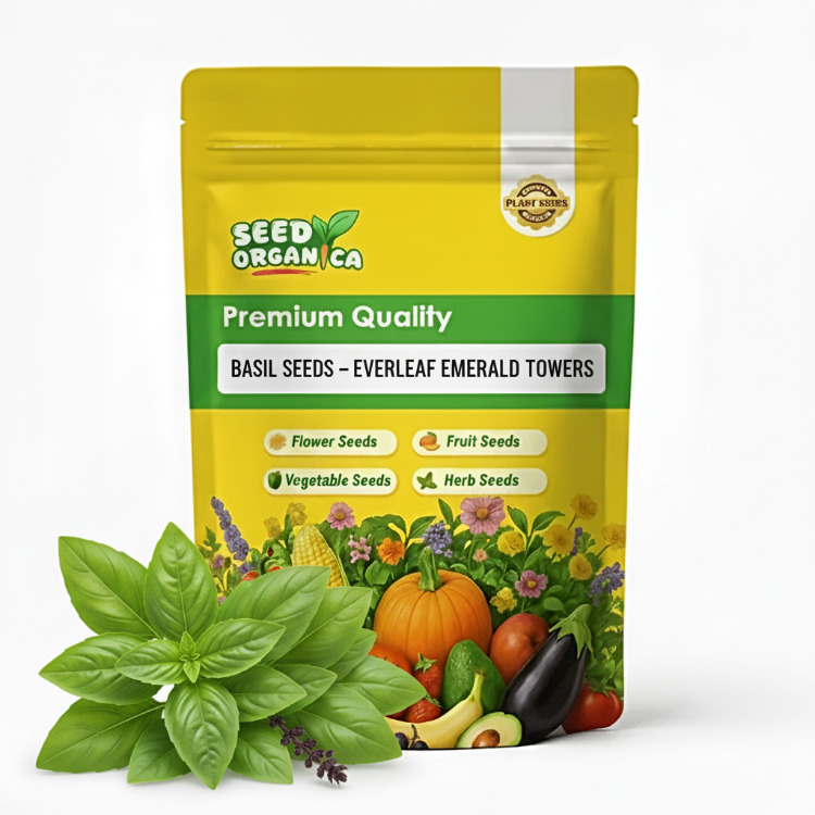 Basil Seeds – Everleaf Emerald Towers