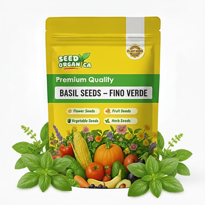 Basil Seeds – Fino Verde
