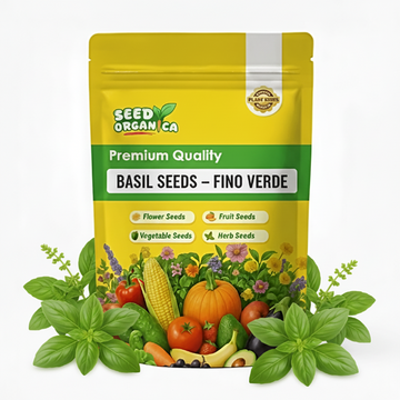 Basil Seeds – Fino Verde