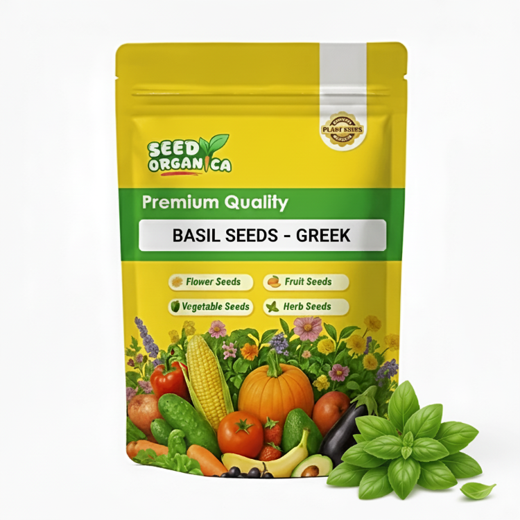 Basil Seeds – Greek