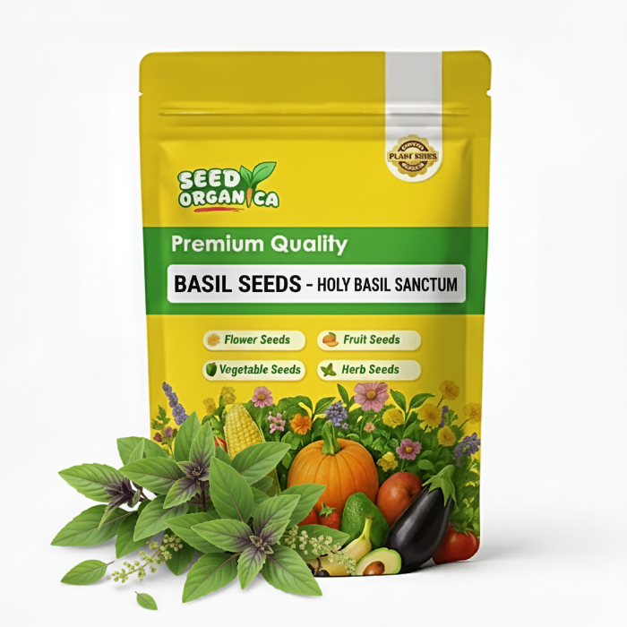 Basil Seeds – Holy Basil  Sanctum