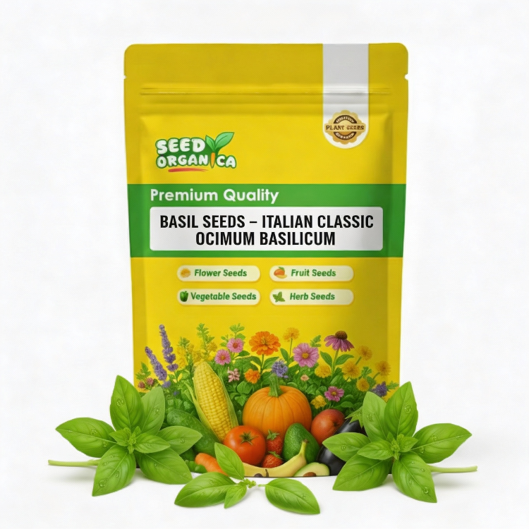 Basil Seeds – Italian Classic Ocimum Basilicum