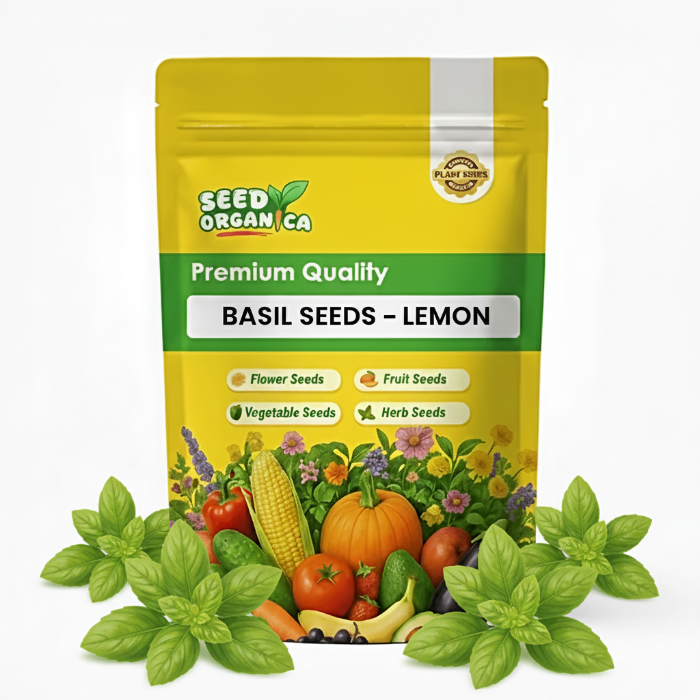 Basil Seeds – Lemon