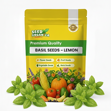 Basil Seeds – Lemon