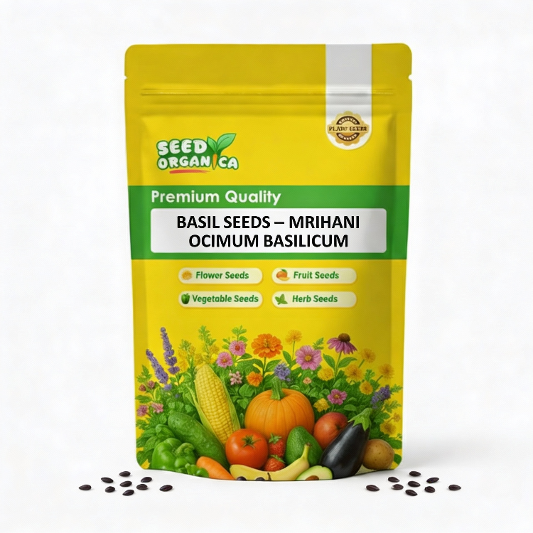 Basil Seeds – Mrihani Ocimum Basilicum