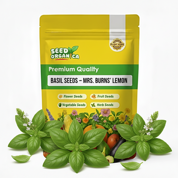 Basil Seeds – Mrs. Burns' Lemon