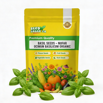Basil Seeds – Nufar Ocimum Basilicum Organic