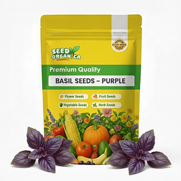 Basil Seeds – Purple