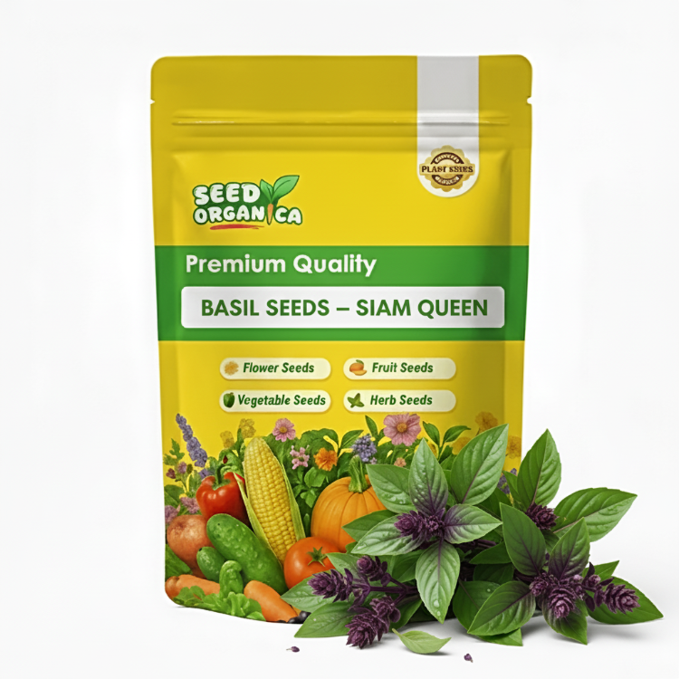Basil Seeds – Siam Queen