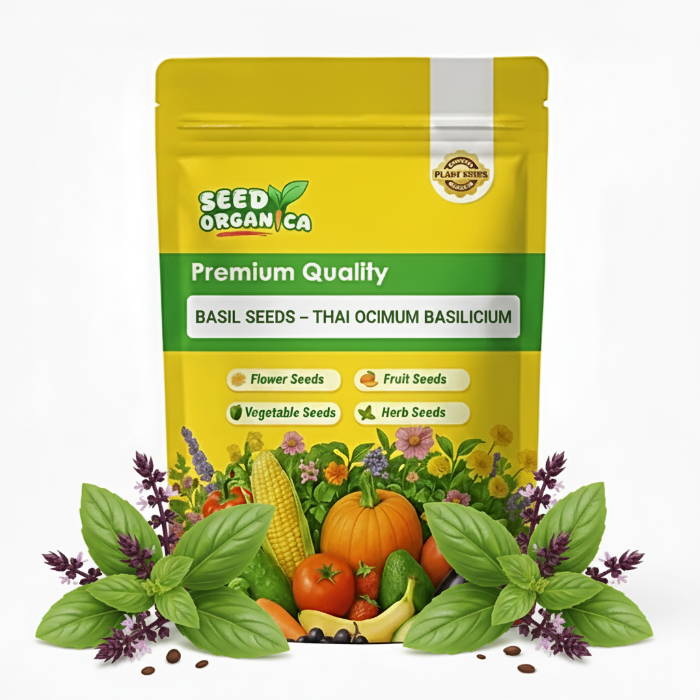 Basil Seeds – Thai Ocimum Basilicum