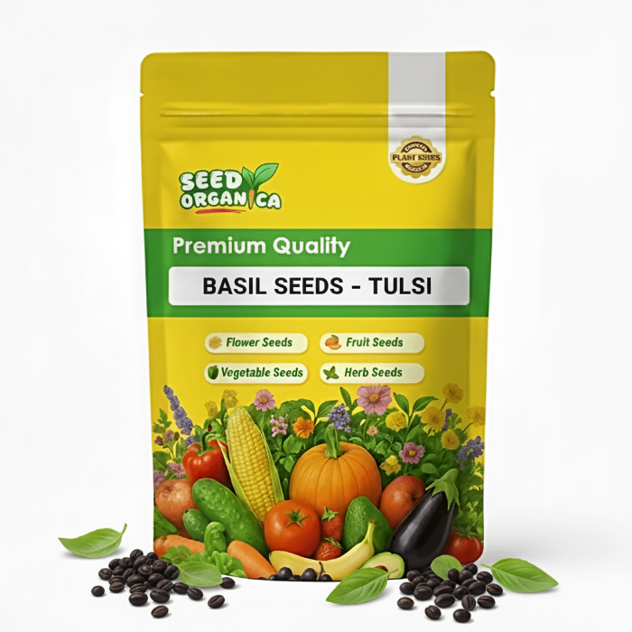 Basil Seeds – Tulsi 