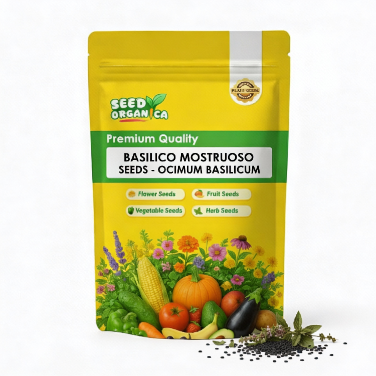Basilico Mostruoso seeds - Ocimum Basilicum