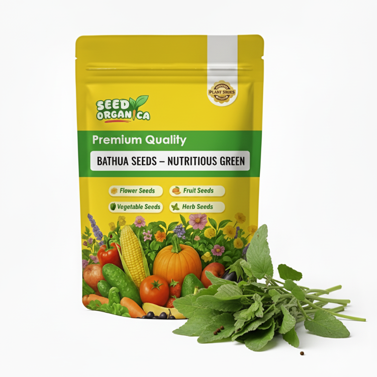 Bathua Seeds – Nutritious Green