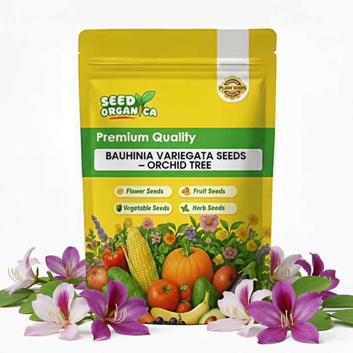 Bauhinia Variegata Seeds – Orchid Tree