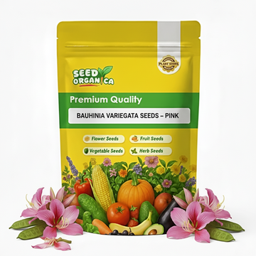 Bauhinia Variegata Seeds – Pink