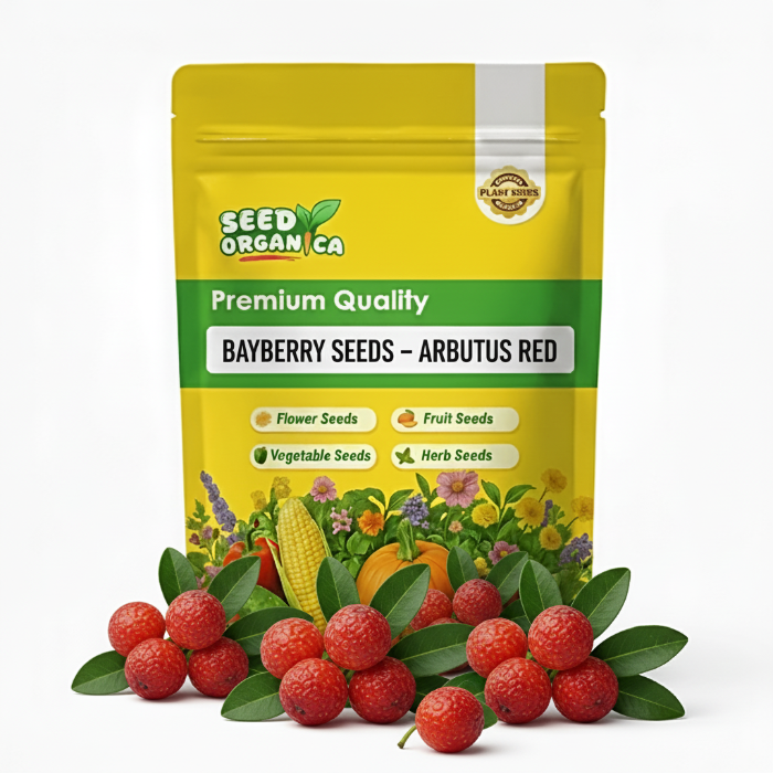 Bayberry Seeds – Arbutus Red