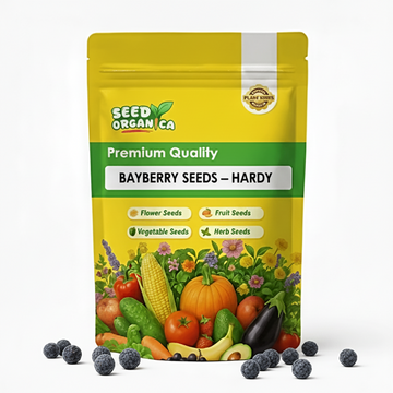 Bayberry Seeds – Hardy