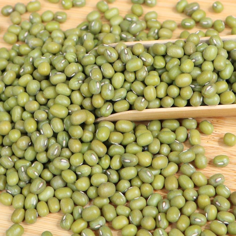 Bean Seeds - Green