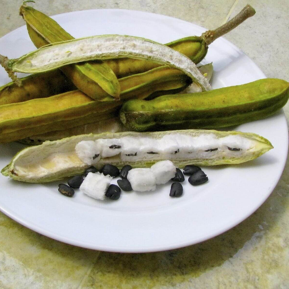 Bean Seeds - Ice Cream