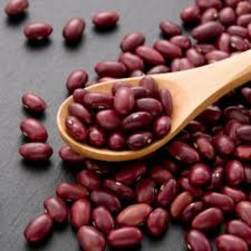  Bean Seeds - Red Kidney