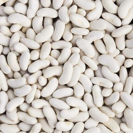 Bean Seeds  - White Cannellini