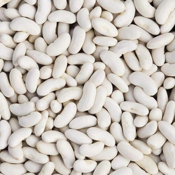 Bean Seeds  - White Cannellini