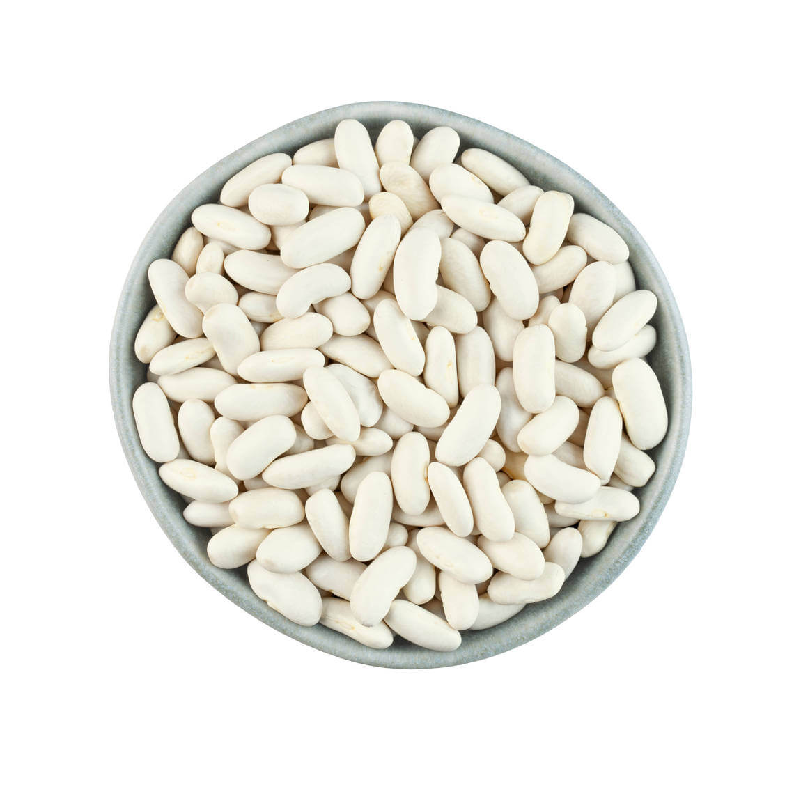 Bean Seeds  - White Cannellini